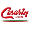 Questa immagine ha l'attributo alt vuoto; il nome del file è CESARIN.jpg