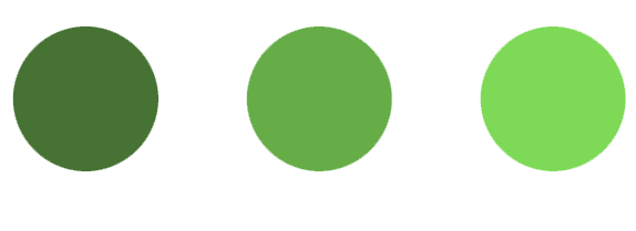 Pagina iniziale